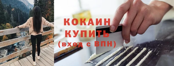 spice Рославль