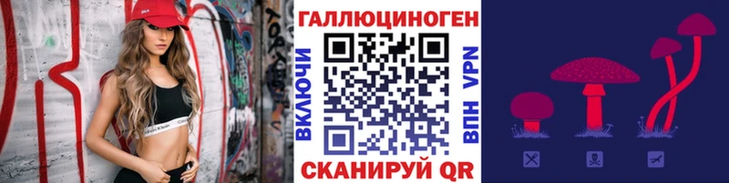 где найти   MEGA рабочий сайт  Галлюциногенные грибы Psilocybe  Бирюсинск 