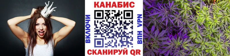 Бошки Шишки план  Бирюсинск 